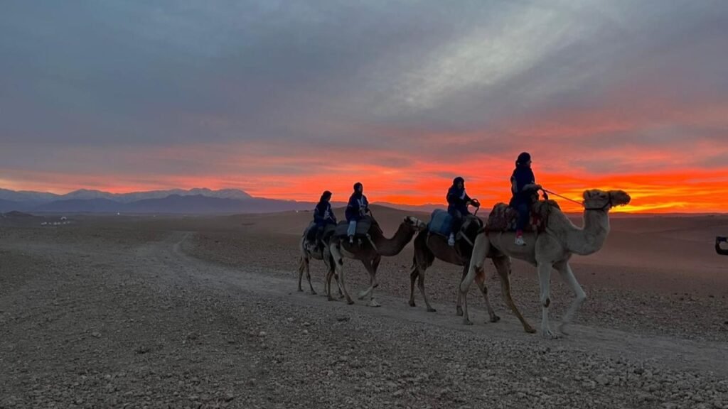 Camel Ride